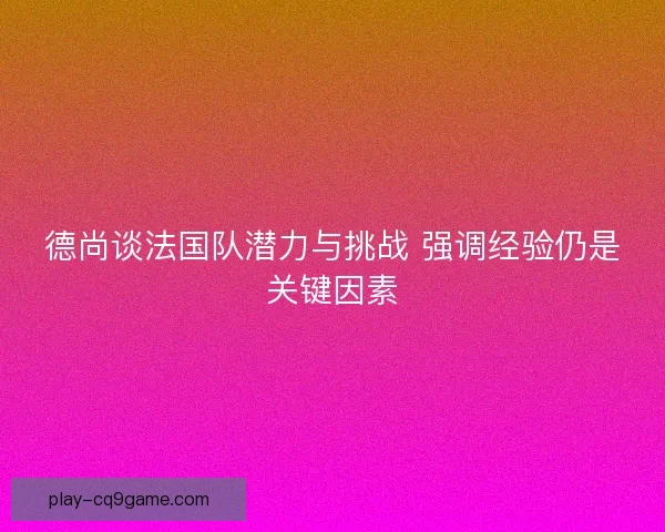德尚谈法国队潜力与挑战 强调经验仍是关键因素