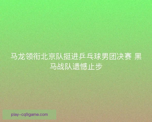 马龙领衔北京队挺进乒乓球男团决赛 黑马战队遗憾止步 马龙领衔北京队挺进乒乓球男团决赛 黑马战队遗憾止步
